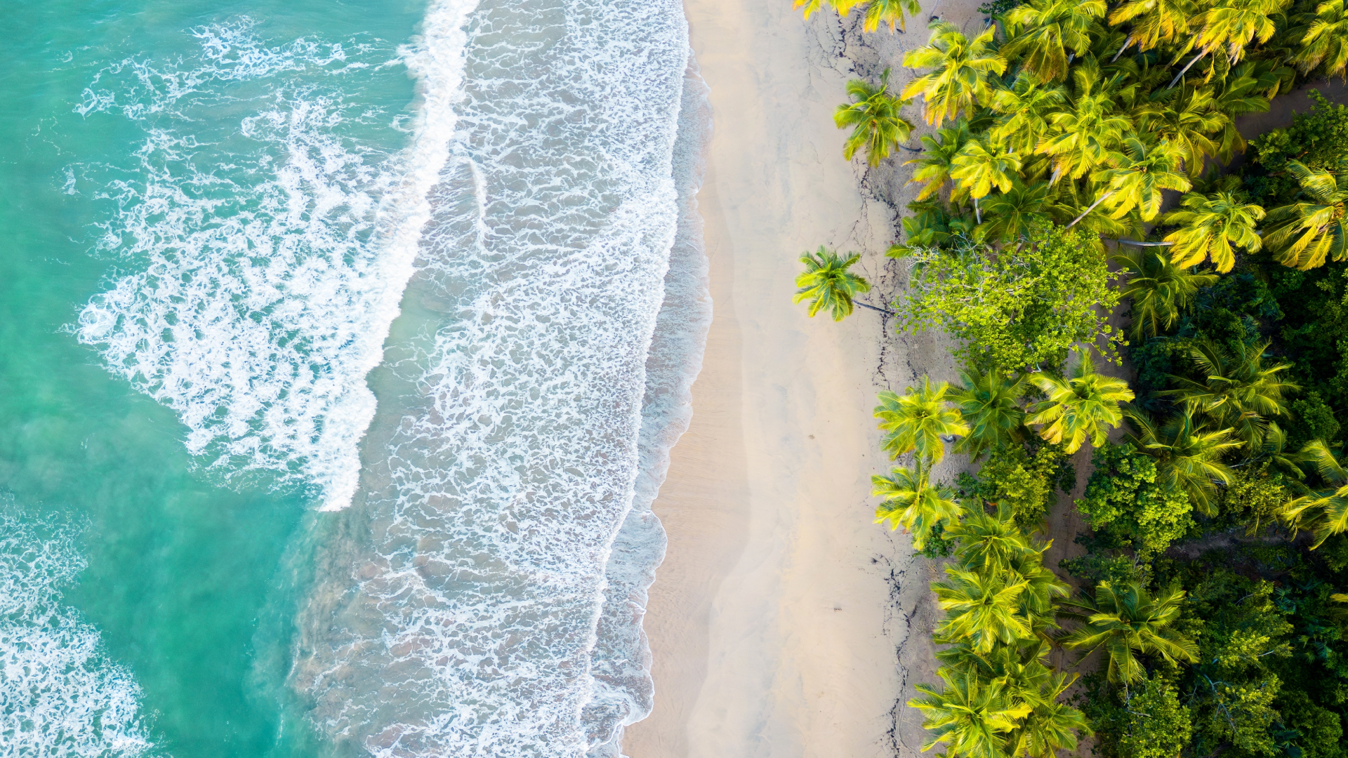 vaciones-gratis-con-multimoney